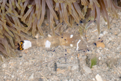 DSC_2310.jpg