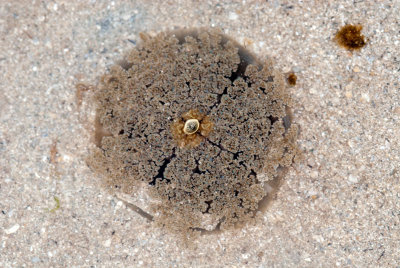 DSC_2312.jpg