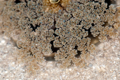 DSC_2315.jpg