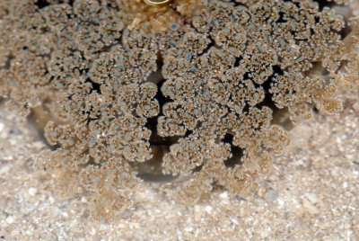 DSC_2316.jpg