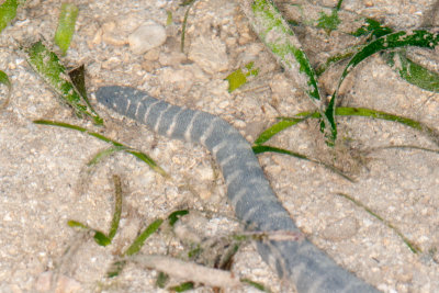 DSC_2317.jpg