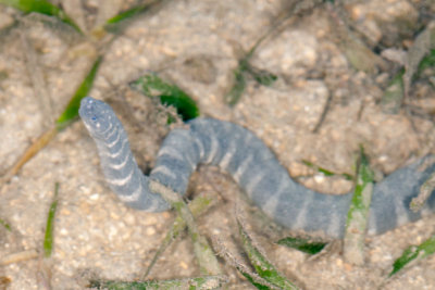 DSC_2319.jpg