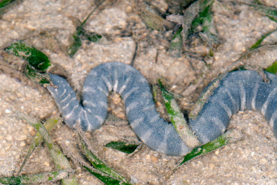 DSC_2320.jpg