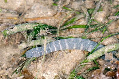 DSC_2321.jpg
