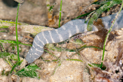 DSC_2322.jpg
