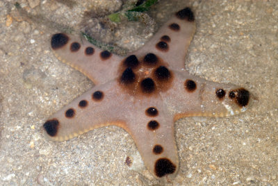 DSC_2323.jpg