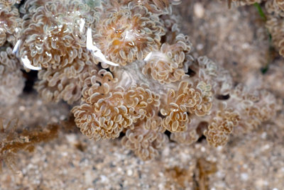 DSC_2326.jpg