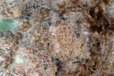 DSC_2327.jpg