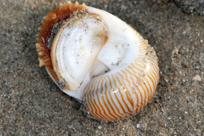 DSC_2329.jpg
