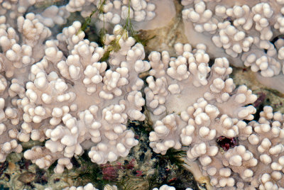 DSC_2360.jpg