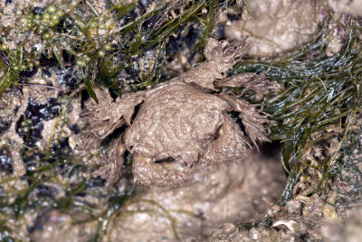 DSC_2362.jpg