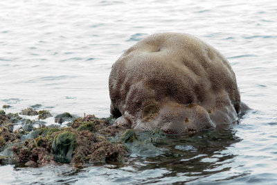 DSC_2363.jpg