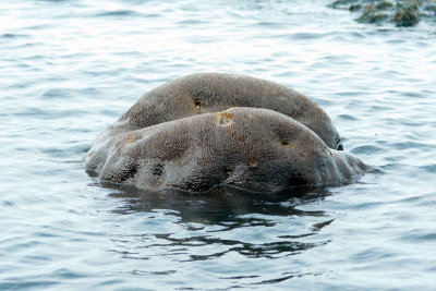 DSC_2364.jpg