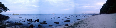 P8101035.jpg