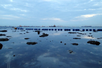 P8101038.jpg