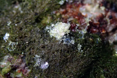 P8101094.jpg
