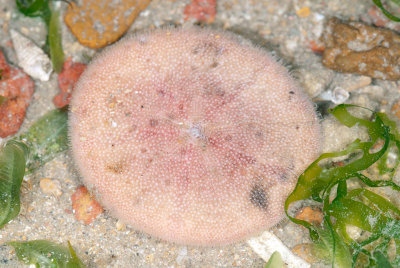DSC_2384.jpg