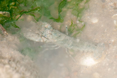 DSC_2386.jpg