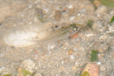 DSC_2390.jpg