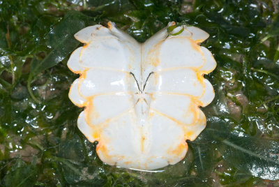 DSC_2393.jpg
