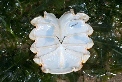 DSC_2394.jpg