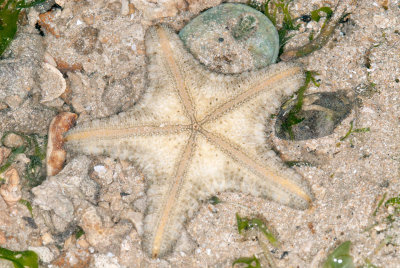 DSC_2400.jpg