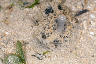 DSC_2404.jpg