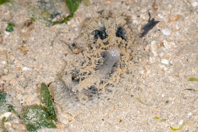 DSC_2406.jpg