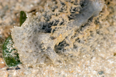 DSC_2408.jpg