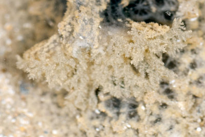 DSC_2413.jpg