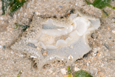 DSC_2415.jpg