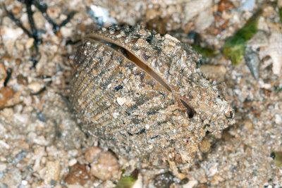 DSC_2418.jpg