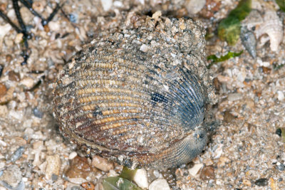 DSC_2419.jpg
