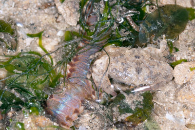 DSC_2422.jpg