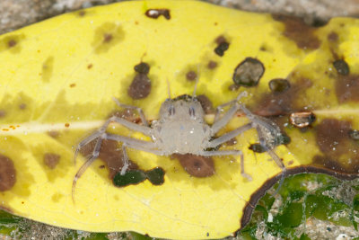 DSC_2430.jpg
