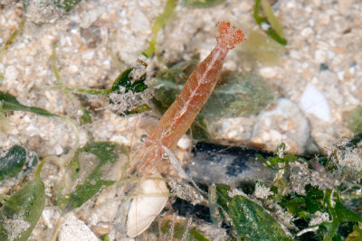 DSC_2435.jpg