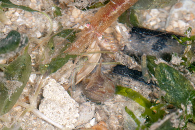 DSC_2437.jpg