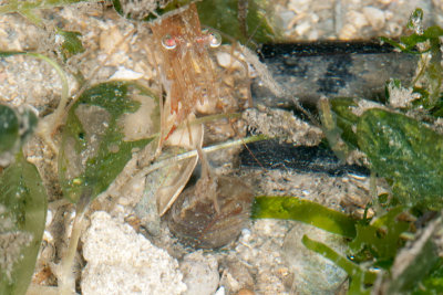 DSC_2438.jpg