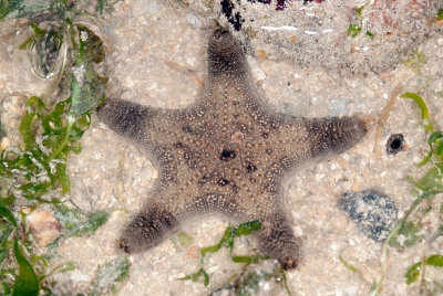 DSC_2442.jpg