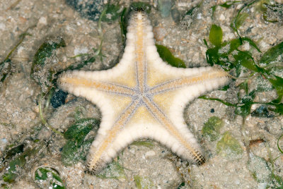 DSC_2443.jpg
