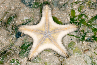 DSC_2444.jpg