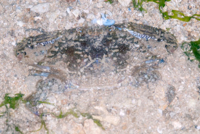 DSC_2446.jpg