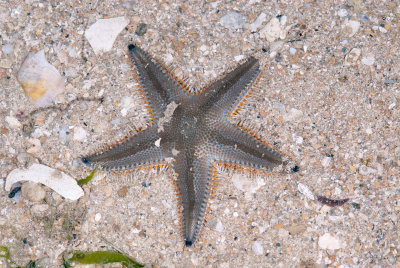 DSC_2447.jpg