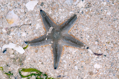 DSC_2448.jpg