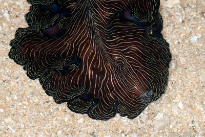 DSC_2457.jpg