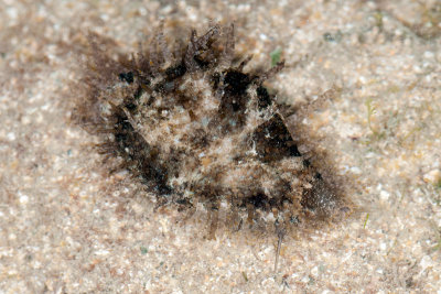 DSC_2469.jpg