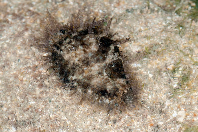 DSC_2470.jpg