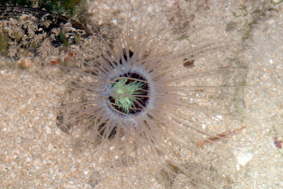DSC_2489.jpg