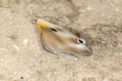 DSC_2491.jpg