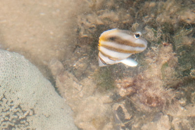 DSC_2495.jpg